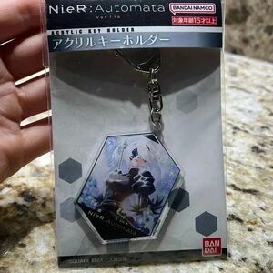 (47)  NWT keychain